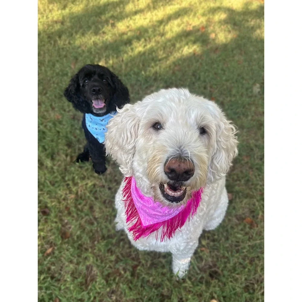 Disco Cowgirl Pink Glitter Fringe Dog Bandana Handmade Western Pet Accessory